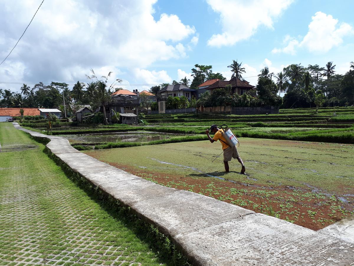 Villa Kirani Ubud By Mahaputra-Chse Certified 외부 사진